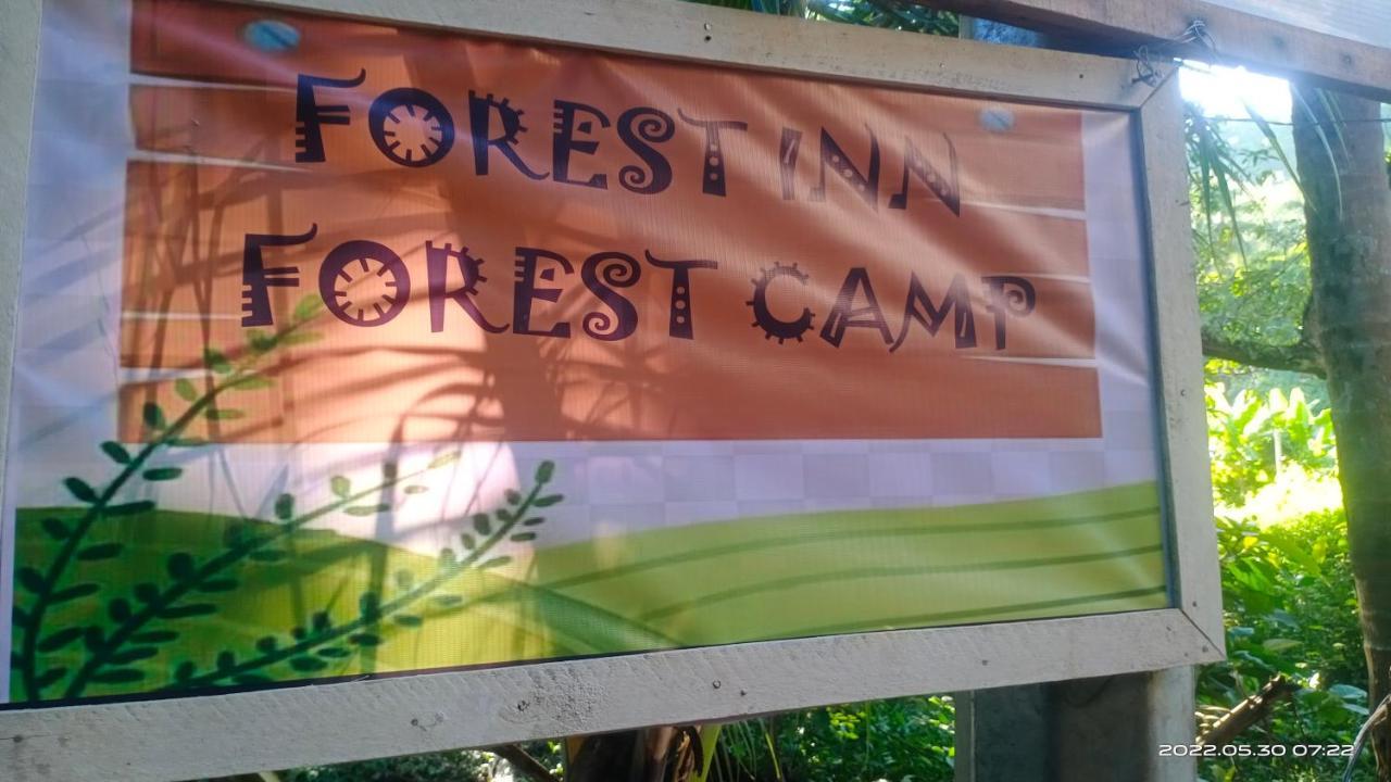 Forest Inn El Nido Buitenkant foto