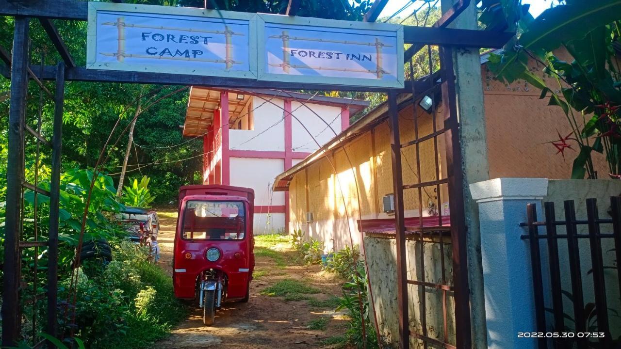Forest Inn El Nido Buitenkant foto